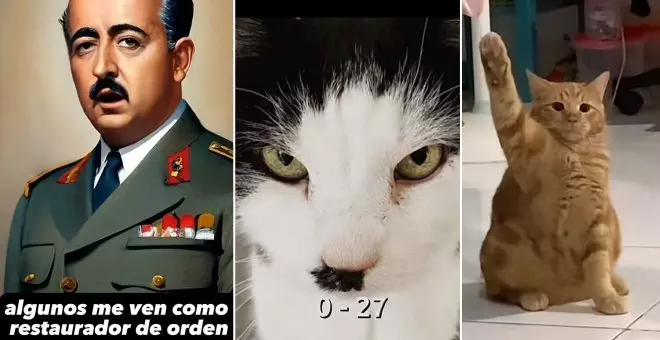 Los nazis arrasan en TikTok: así utilizan los memes de gatitos para sortear los "pocos" filtros de la plataforma china