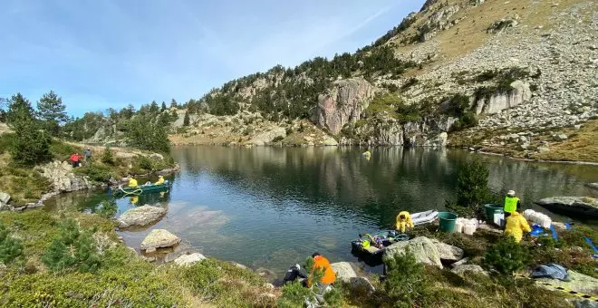 L'Aran acull una prova pionera al sud d'Europa amb un biocida biodegradable contra espècies invasores