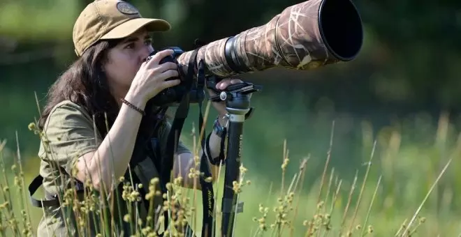 Fotografiar bosques: los consejos de los profesionales