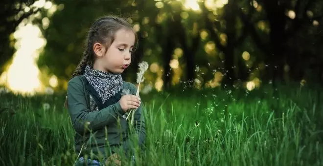 Los colegios dan un ejemplo a la sociedad en cambio climático