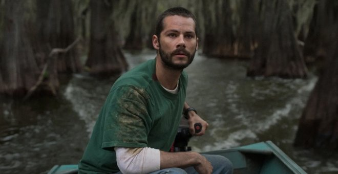 ¿Qué pasa en Caddo Lake?