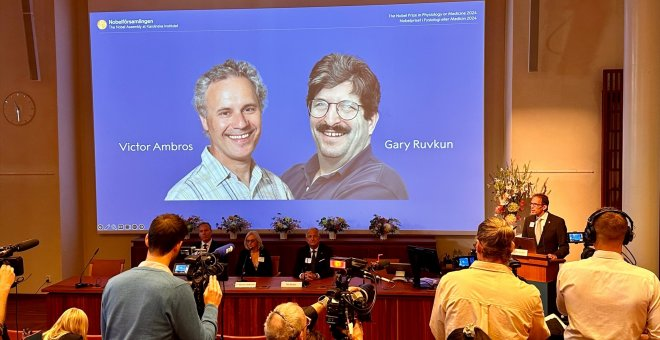 Victor Ambros y Gary Ruvkun ganan el Nobel de Medicina por el descubrimiento del microARN