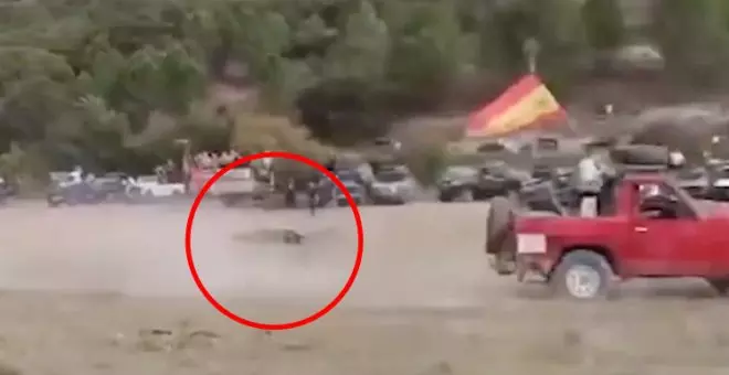 El repugnante vídeo de un encierro en Guadalajara en el que el toro muere al chocar con un coche: "Esto es una vergüenza y se tiene que acabar ya"