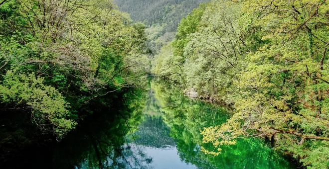 As Fragas do Eume, otro bosque autóctono gallego amenazado por la invasión de eucaliptos