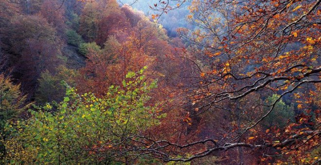 Cantabria vive una noche tropical en pleno octubre