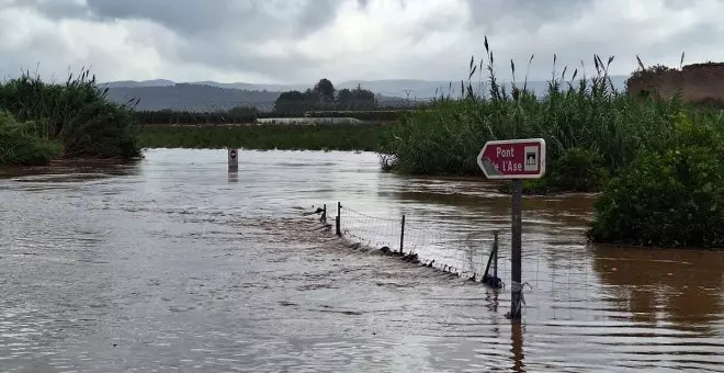 Greenpeace exige acciones urgentes para frenar el cambio climático y evitar desastres naturales