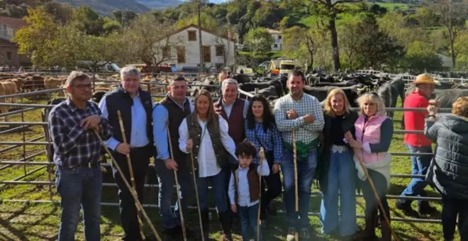 Un millar de reses se dan cita en la 43º edición la Feria de Lamasón