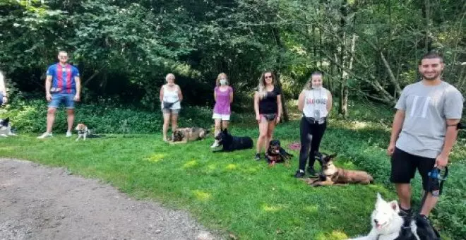 ¿Por qué es importante el adiestramiento canino? Centro de educación canina nos da las claves