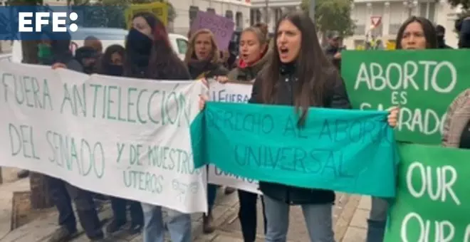 Protesta feminista contra la cumbre antiabortistas que se celebra en el Senado español