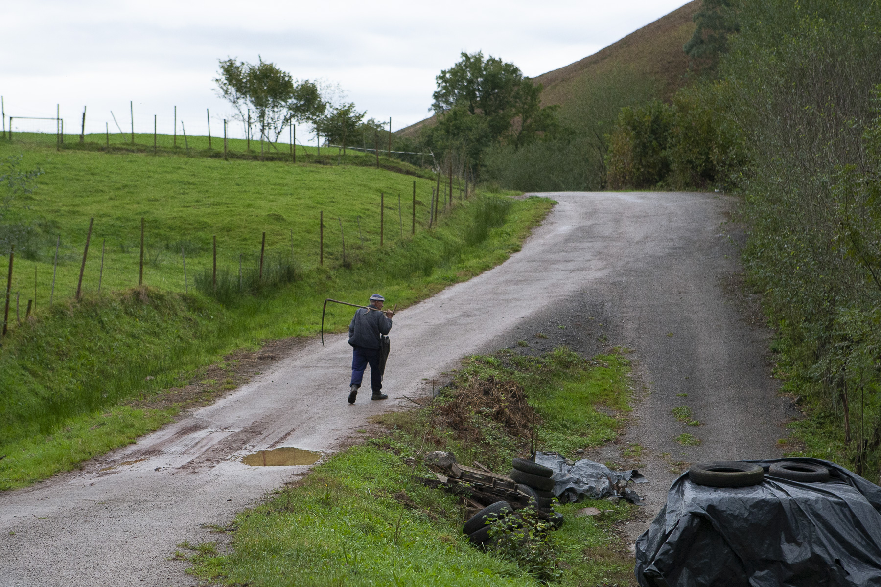 Pasiegos Cantabria: Los pasiegos: el pueblo maldito que acabó criando a los  nobles de España | Público