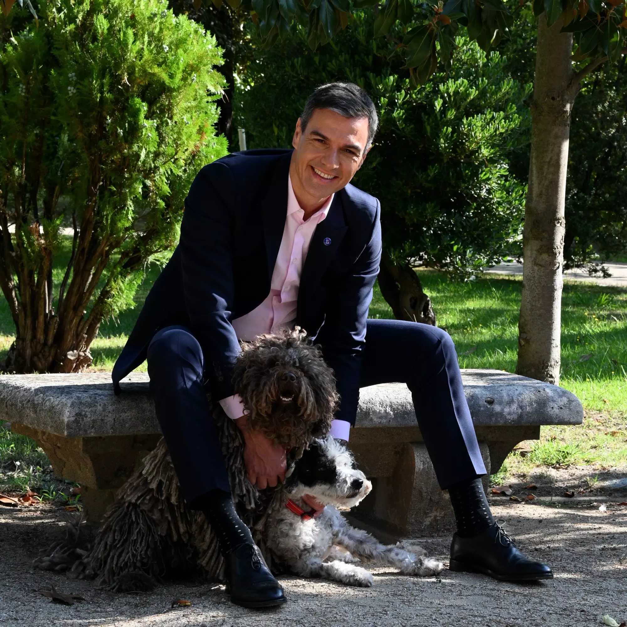 Tomas Falsas De Campaña 30 Más Sabe El Perro Sánchez Por Perro Que Por Sánchez Público 2753