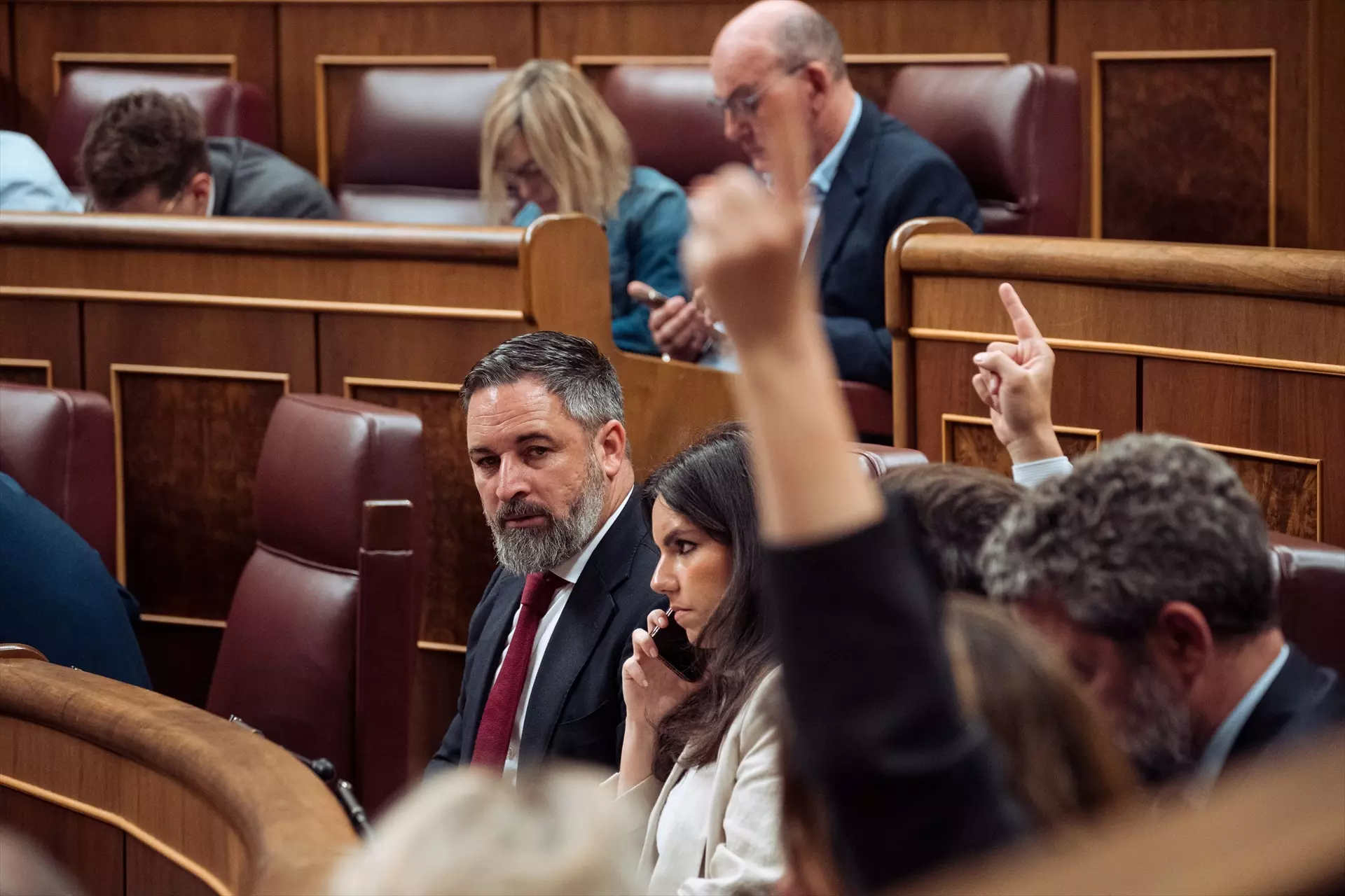 Vox se vuelve a quedar solo: unanimidad en el Congreso para rechazar su enmienda a la ley ELA