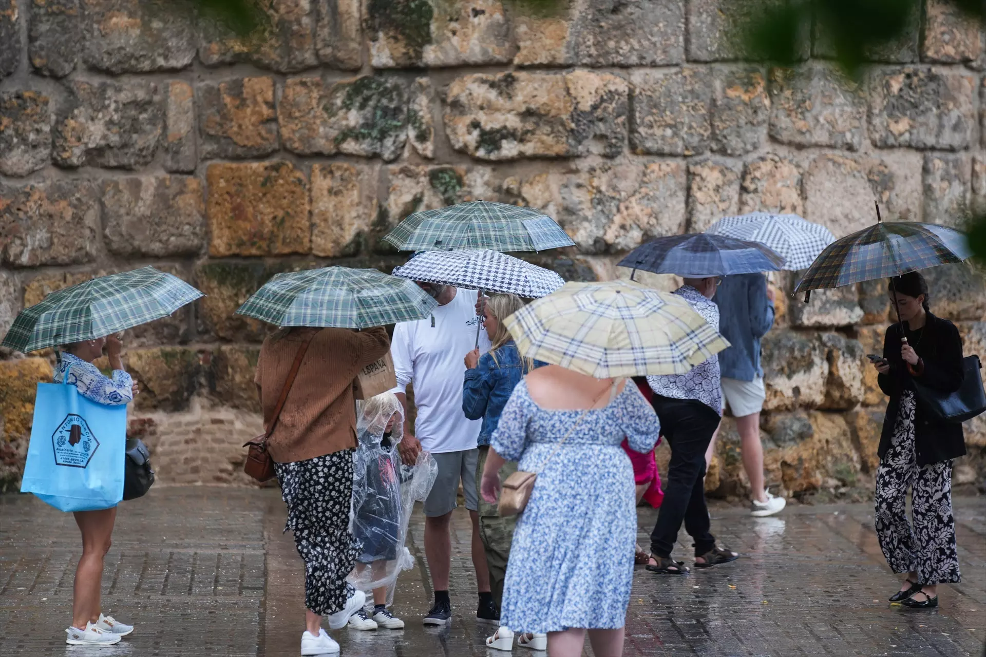 Transeúntes protegidos con paraguas durante las fuertes lluvias en Sevilla. Foto de archivo. — María José López / Europa Press