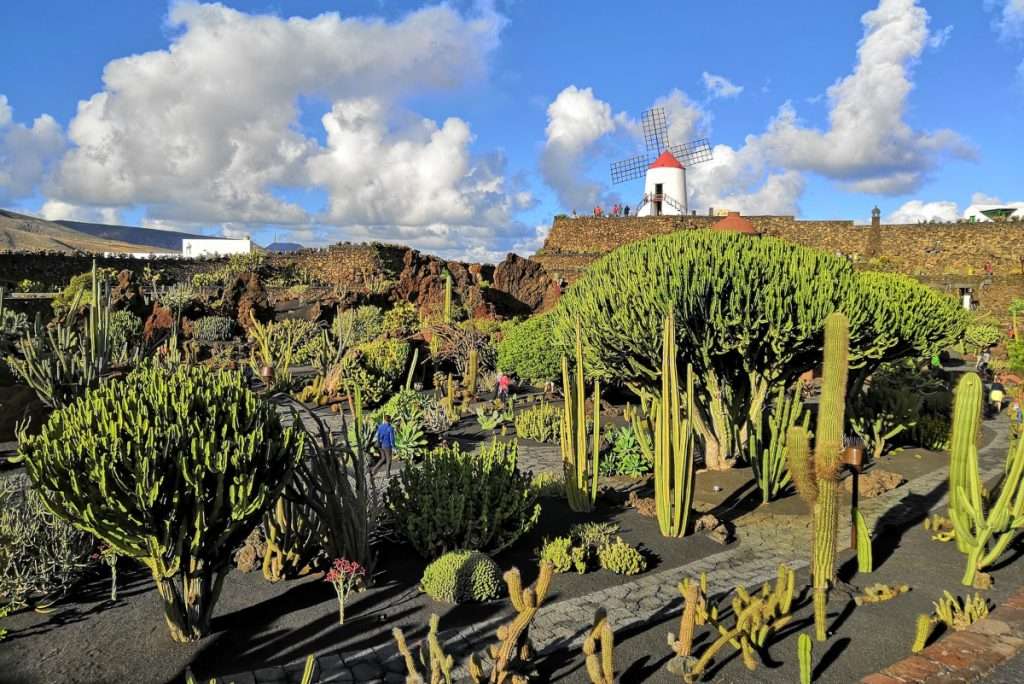 9 ideas para disfrutar de las Islas Canarias este invierno