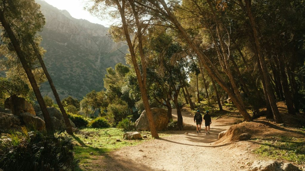 Acceso norte del Caminito del Rey