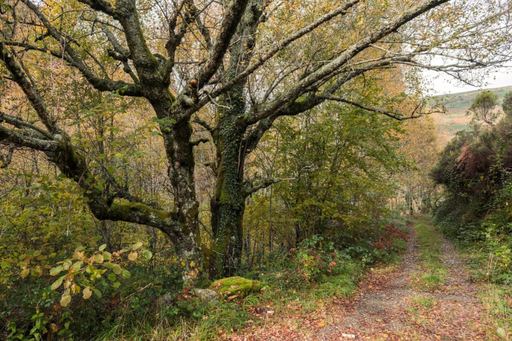 Serra do Courel - Depositphotos