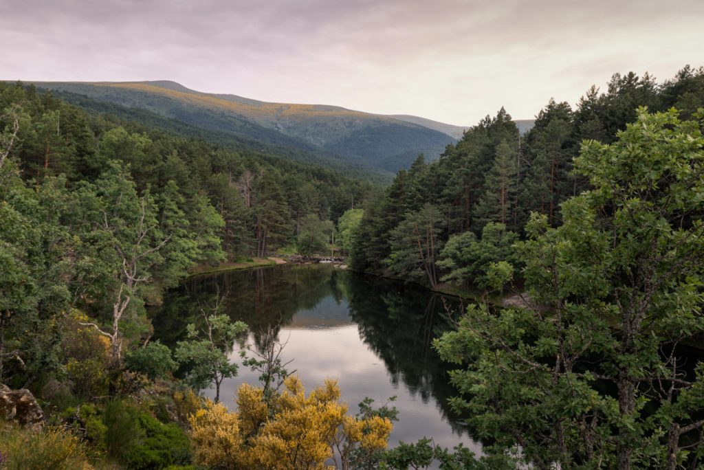 Bosques de Rascafría - Depositphotos 