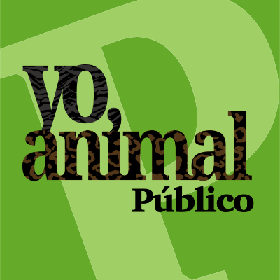 Logo Yo Animal