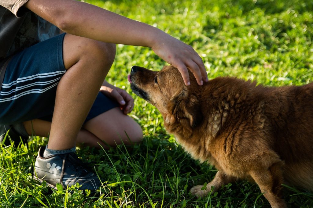 Perro y hombre